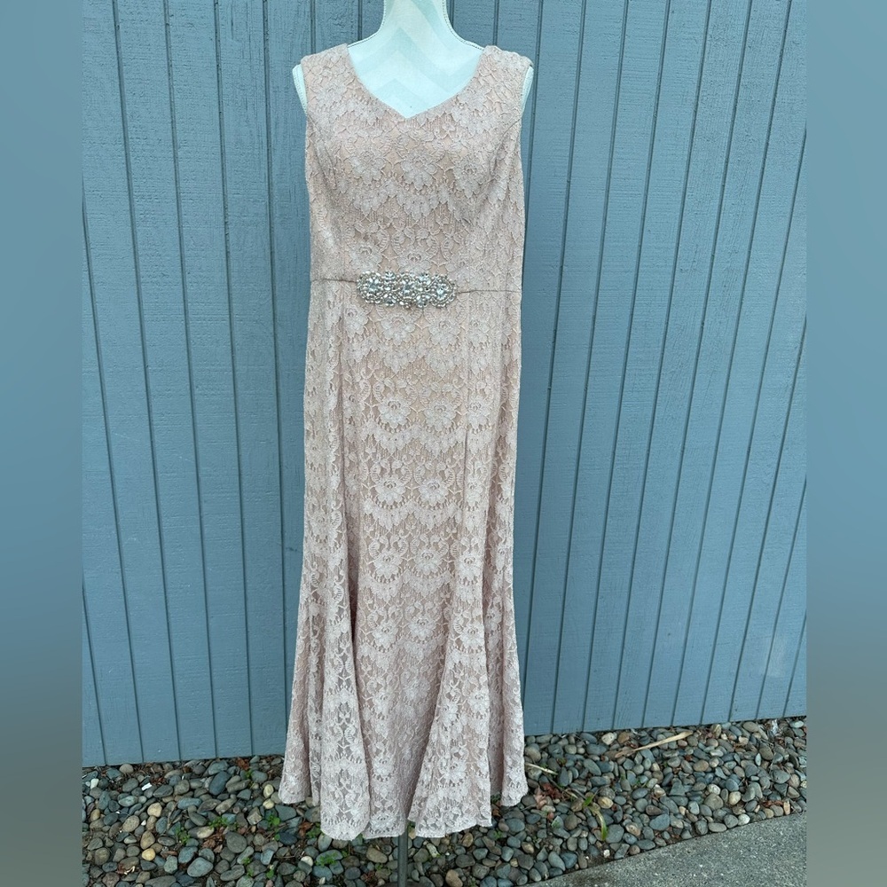 Stunning Alex Evenings Formal Gown